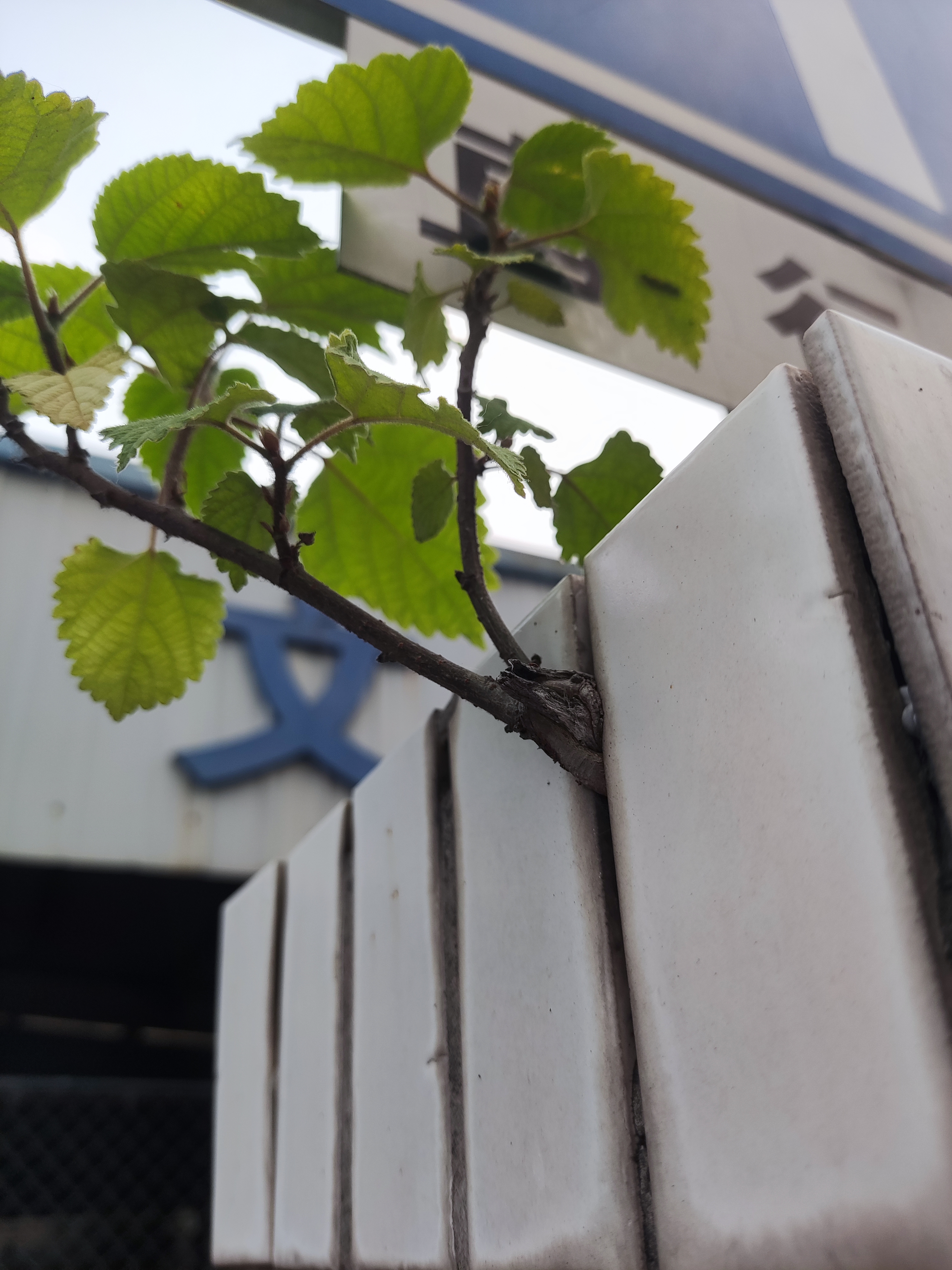 方寸之间，天地在我