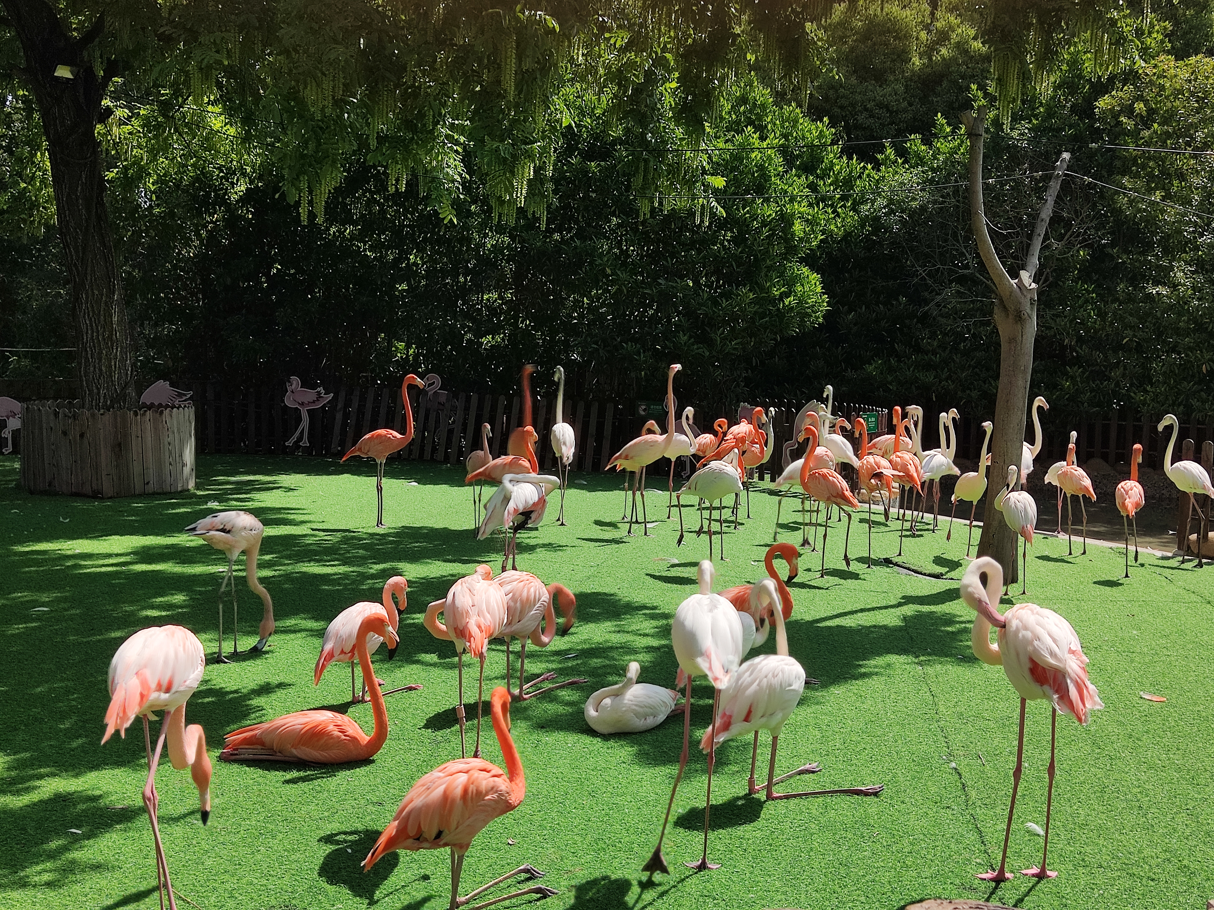 上海动物园和外滩夜景