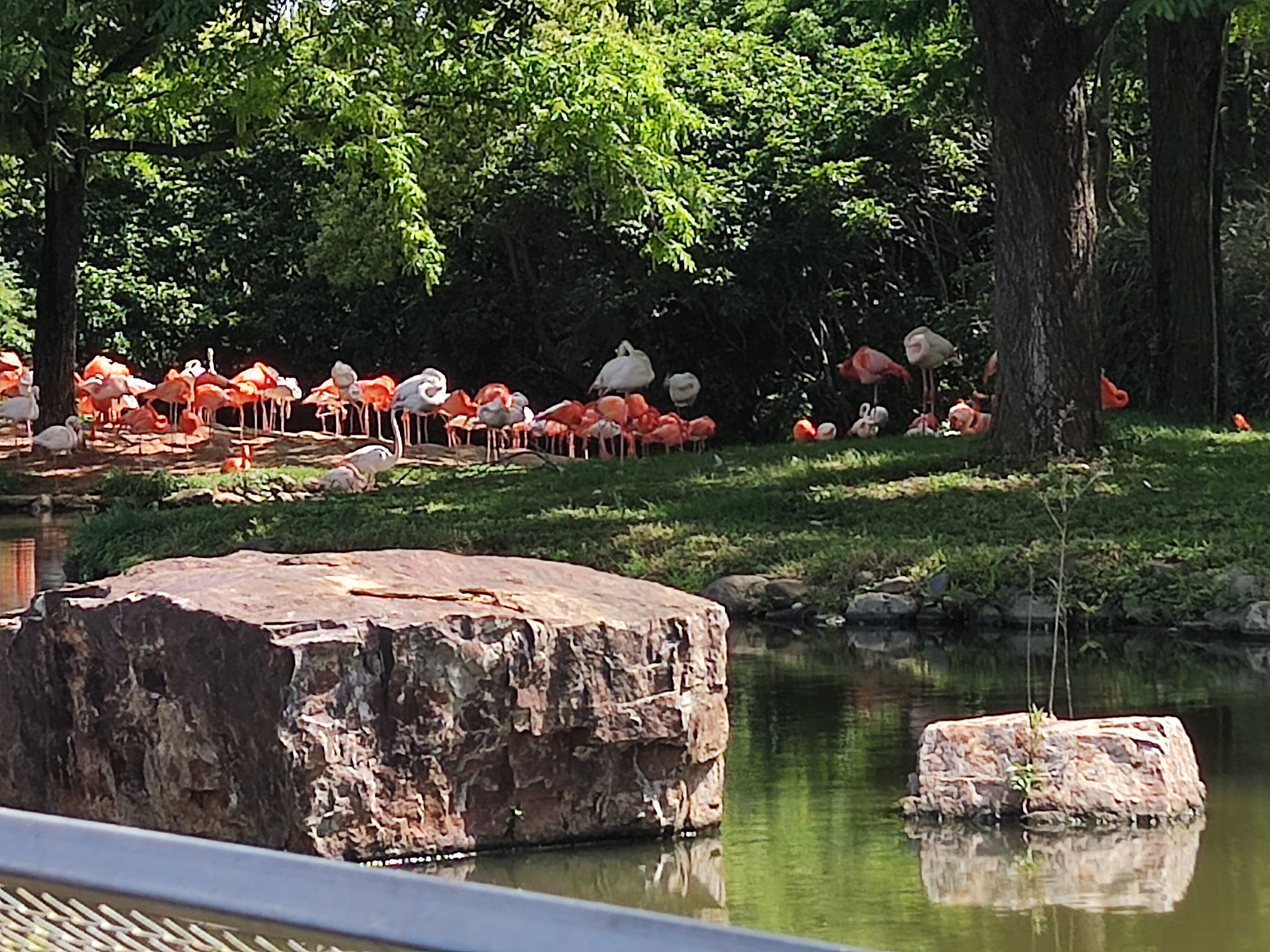 上海动物园和外滩夜景