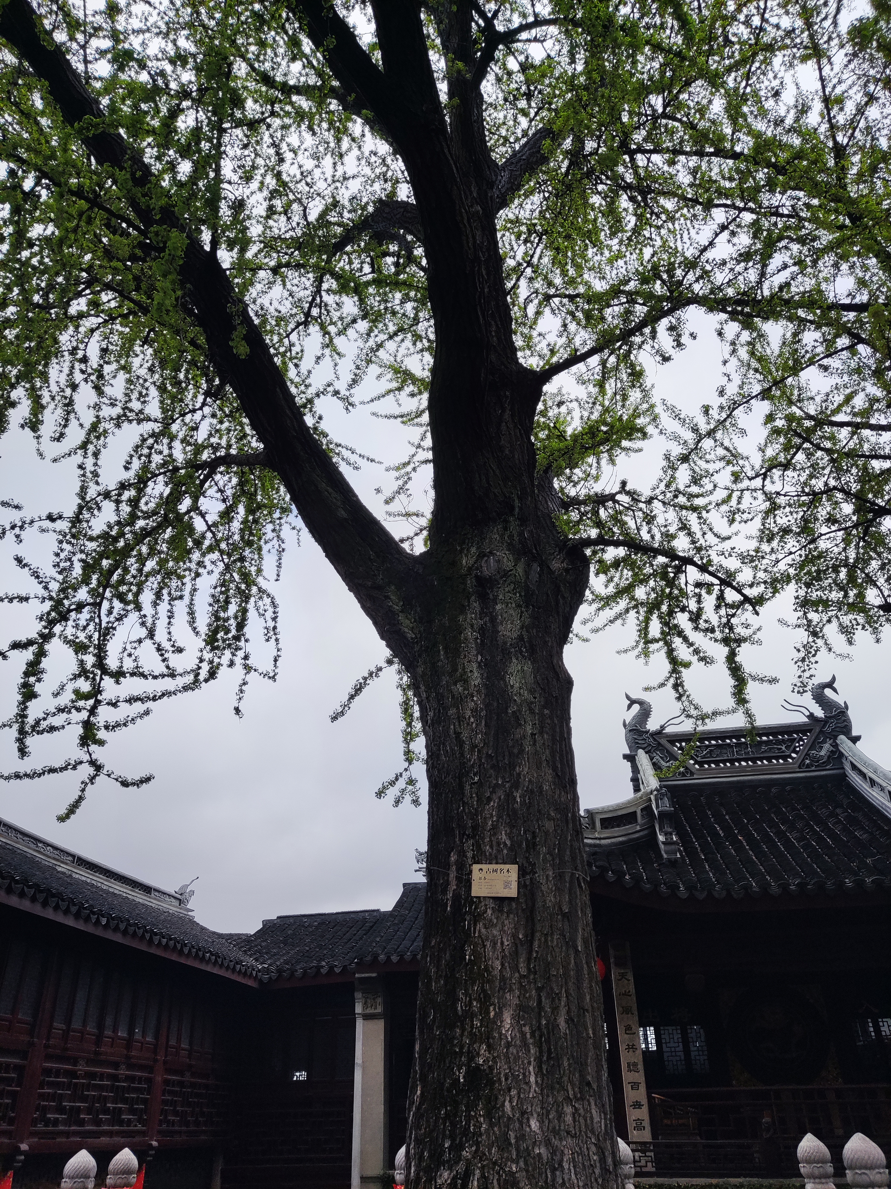 惠山古镇和泥人馆